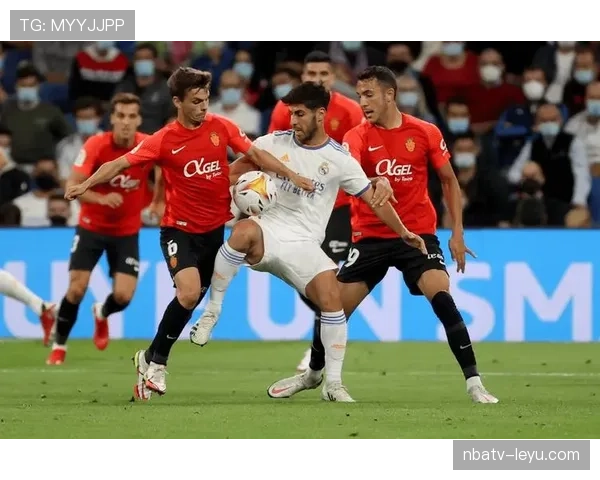 马洛卡新赛季阵容深度解析：挑战与机遇并存引关注